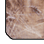 N�hlad