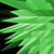 N�hlad