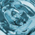 N�hlad